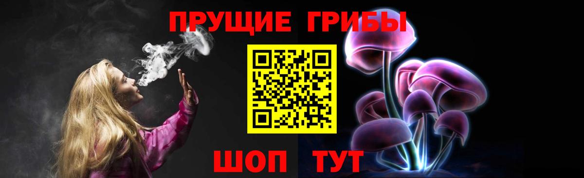 Псилоцибиновые грибы GOLDEN TEACHER Архангельск